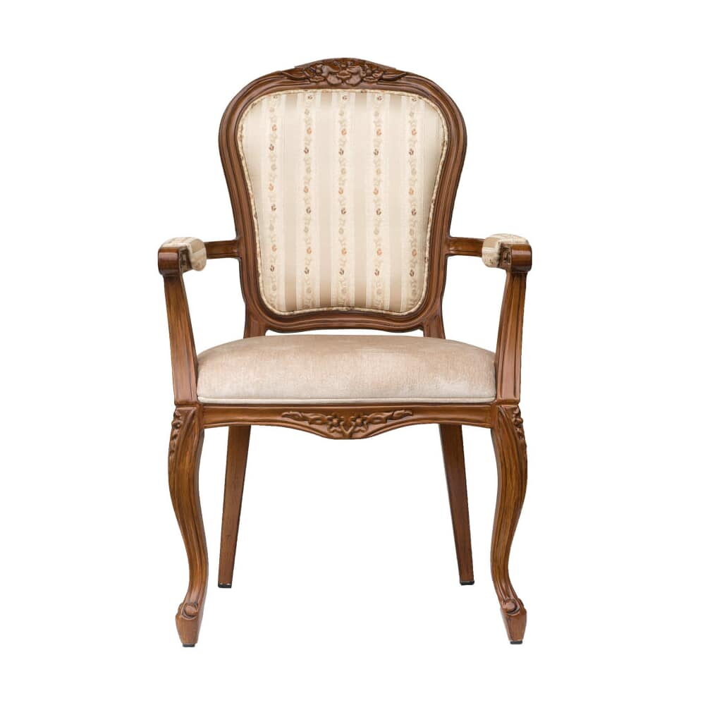Cecile Lounge Style Senior Living Aluminum Armchair