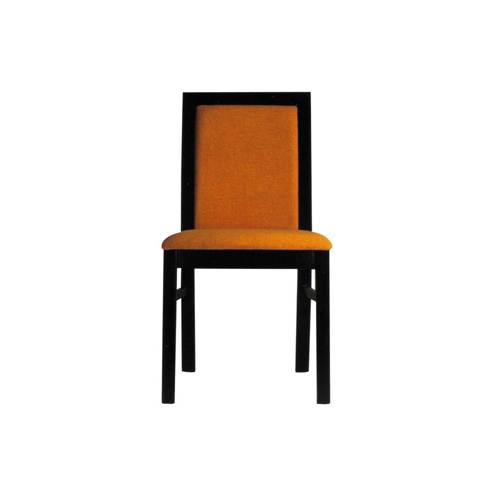Modern Style wood | Dining chair
