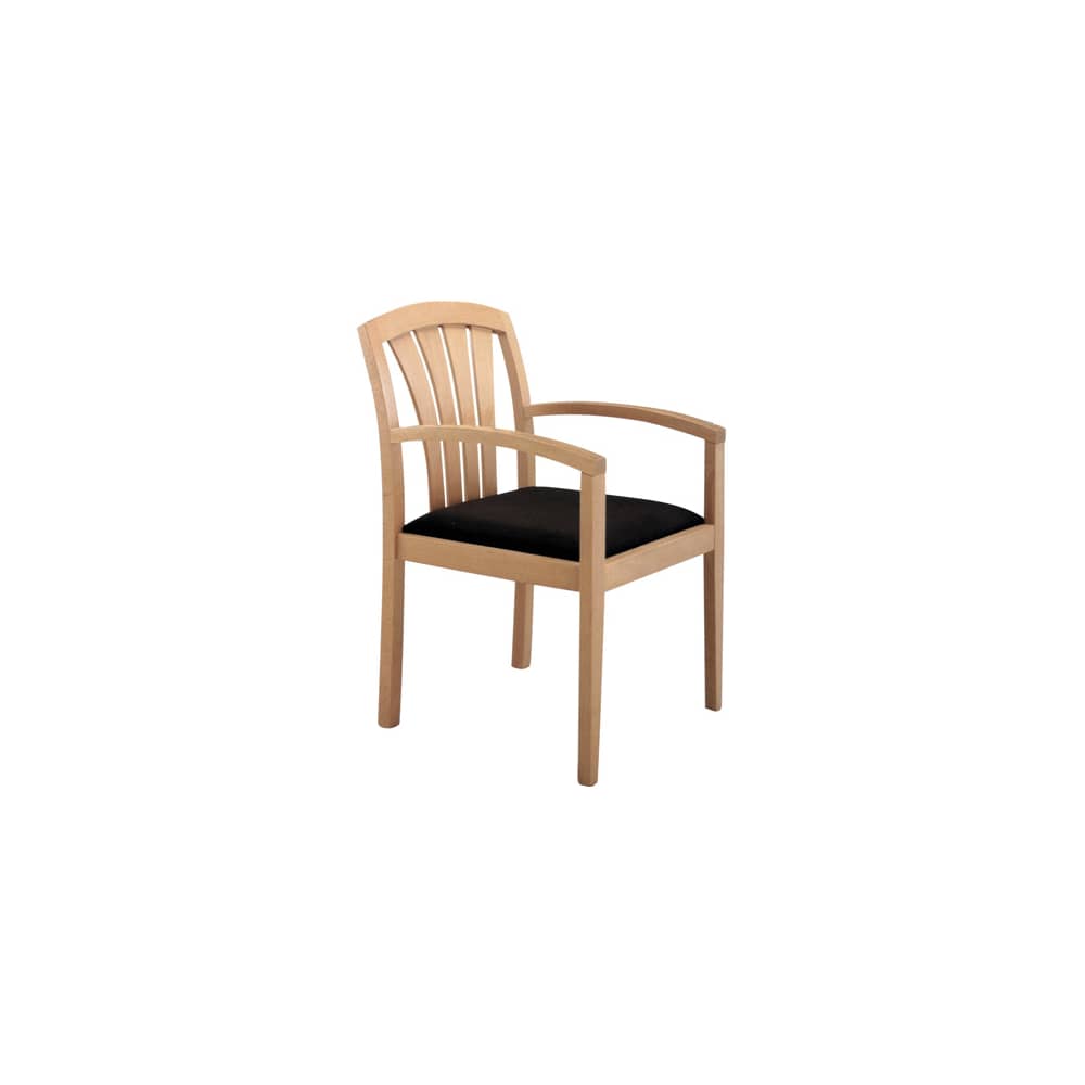 Fan-back wood | Armchair