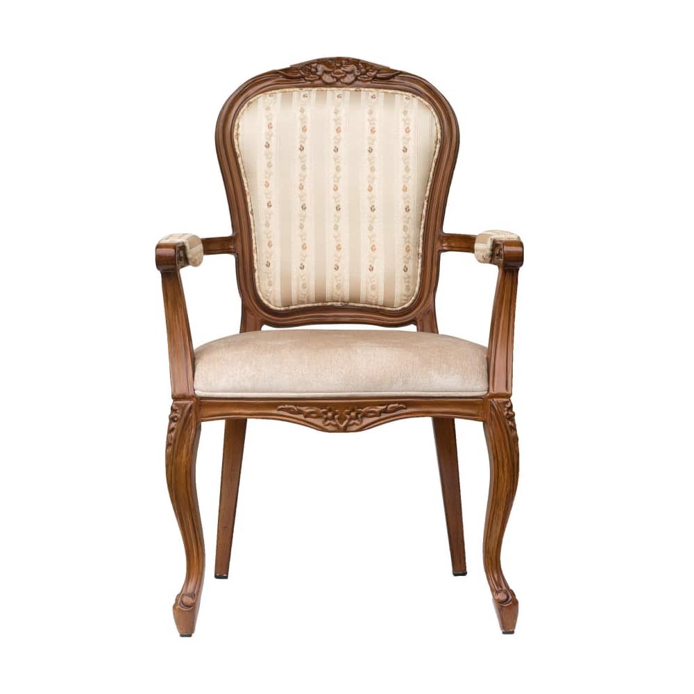 Cecile Lounge Style Senior Living aluminum | Armchair